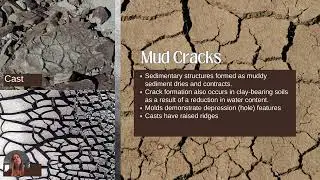 Earth Materials: Sedimentary Structures and Rock Identification