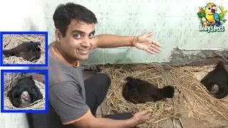 Dono murgyo ny kurak mal le || Mashallah dono ko batha dya || 9th Ramazan