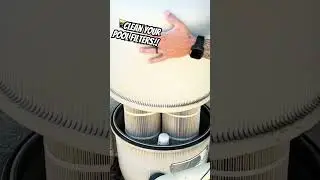 🧼How Yo Clean Your Pool Filters #poolseason #pool #cleaning #diy
