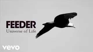 Feeder - Universe of Life