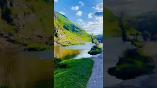 Beautiful River Dove