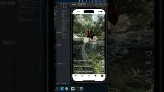 Instagram home feeds section