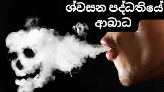 ශ්වසන පද්ධතියේ ආබාධ 🫁🩺