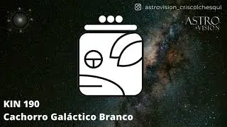 KIN 190 - Cachorro Gal&aacute;ctico Branco (Medita&ccedil;&atilde;o Guiada)