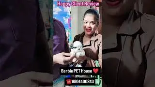 Happy Client Review ❤️❤️Barbie PET House ❤️😘 #reels #shortsviral #tranding #love #youtubeshorts #dog
