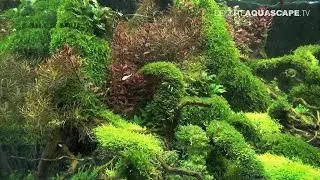 Planted aquariums of Heimtiermesse 2015, Hannover - part 4