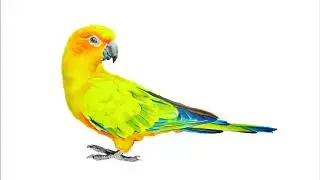 Michael Slotwinski - 10 -  Highlighter Themes
