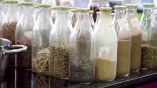 Wild Food Cafe's Raw Food Courses