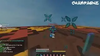 NCL Montage