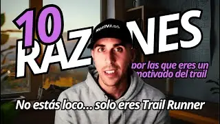 10 Razones por las que Eres un Motivado del Trail Running (Aunque No lo Admitas)