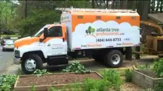 Tree Removal Services Atlanta, GA by Atlanta Tree Professionals