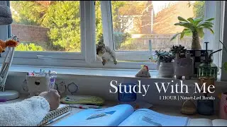 1 HOUR STUDY WITH ME | Nature-Led Breaks 🐿️ 🍃| calm music, background noise