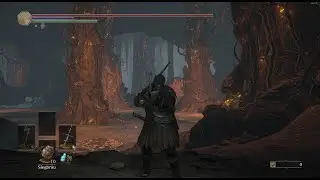 DS3 PC - Champions ashes 14973- Fight club - 006