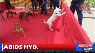 Hyderabad Police Introduces Women's Mounted Unit and Expands Dog Squad