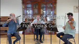 Francesco Molino - Grand Trio Concertant op. 30