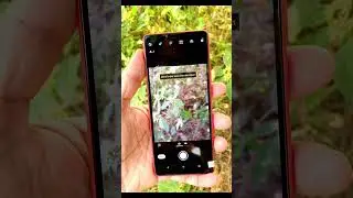 Sony Xperia 10 Mark 3 Portrait Camera 📷