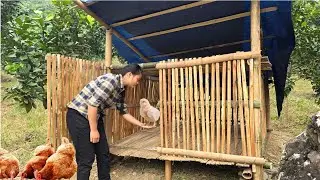 The young woman's dream of building her own farm is gradually becoming a reality.