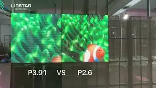 Indoor Transparent LED Display Comparison: P2.6 vs P3.91 | Clarity, Brightness & Viewing Experience