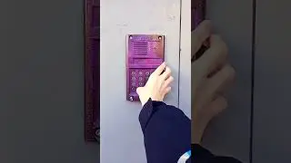 Домофон ELTIS DP300 RD22