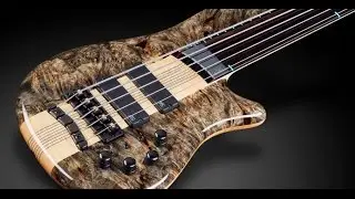 Warwick Custom Shop Masterbuilt - Thumb SC Fretless 5-String - Buckeye Burl Top #16-3288