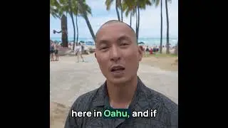 Is the 'Paradise Tax' Pricing Out Local Talent in Honolulu?🏝️🏡