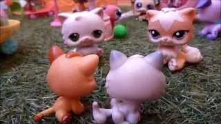 Littlest Petshop- Dans un autre monde! [histoire] ☼