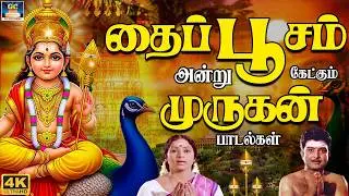 தைப்பூசம் அன்று கேட்கும் முருகன் பக்தி பாடல்கள் | Thaipusam Murugan Special Songs Tamil | 4K