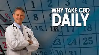 Why Take CBD Daily