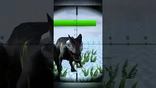 Wild Animal Hunting- Dinosaur Hunter Free Android Gameplay #shorts #short #games #gameplay #dinosaur