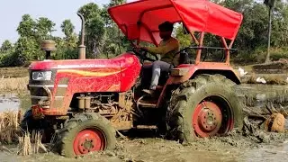 Mahindra yuvo 575di/4wd/with new  Apollo high lug Tyre/fx -222/with Mahindra rutaveter