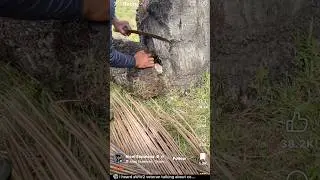 😳 Что, чёрт возьми, происходит? 🌎