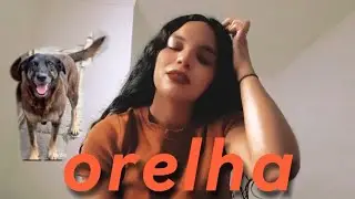 Caso do Orelha vai ficar por isso mesmo?
