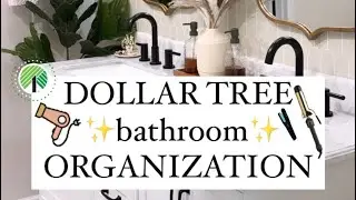 VIRAL Dollar Tree Bathroom Organization hacks!