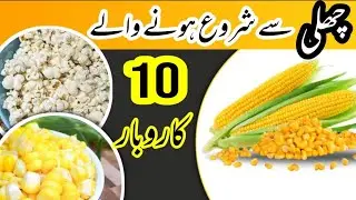 10 Business Starting with Just a Corn | Corn Business Ideas