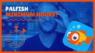 Palfish Minimum Hours | What Times Do YOU Need to Work?