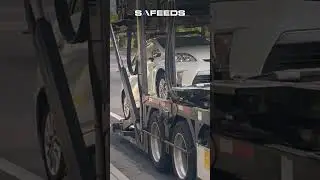 Delivering Cars with Care Across the Nation I Safeeds Transport Inc