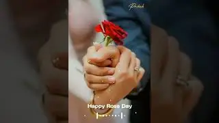 Rose Day Status 2022 Happy Rose Whatsapp Status Happy Rose Day 7feb