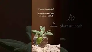 Some People Live Yet They Are Dead &ndash; Poem by Imam Shafi &ndash; A Timeless Reminder
