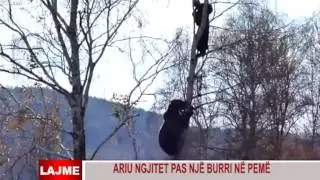 ARIU NGJITET PAS NJ&Euml; BURRI N&Euml; PEM&Euml;