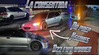 La consentida winner of d22 event no prep kseries