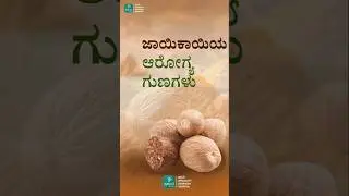 ಜಾಯಿಕಾಯಿಯ ಆರೋಗ್ಯ ಗುಣಗಳು - Health benefits of nutmeg - Benefits of nutmeg