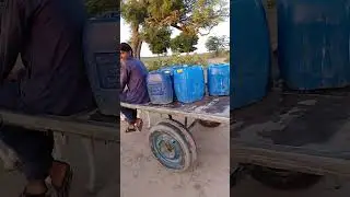 Life Without Water 💧 Thari People Fetch Water on Donkey Carts | Desert Struggle #shorts