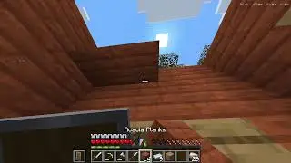 Mine Craft Donut Smp Join And Have fun