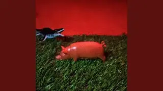 Pig Pen