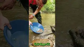 Gold Panning in a Riverbank: Finding Precious Nuggets!