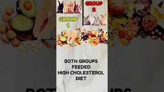 AMERICAN RABBIT EXPERIMENT NE PURI DUNIYA KO Kaise Shock kar diya #shorts #facts #motivation #health