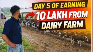 DAY 5 of earning 10 lakh from Dairy farm