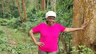 HIKING IN MOUNT KENYA FOREST PART ONE 😊🏃‍♀️