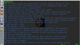 SVN Command Line Tutorial 1