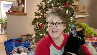 Dollar Tree Haul  December 2018